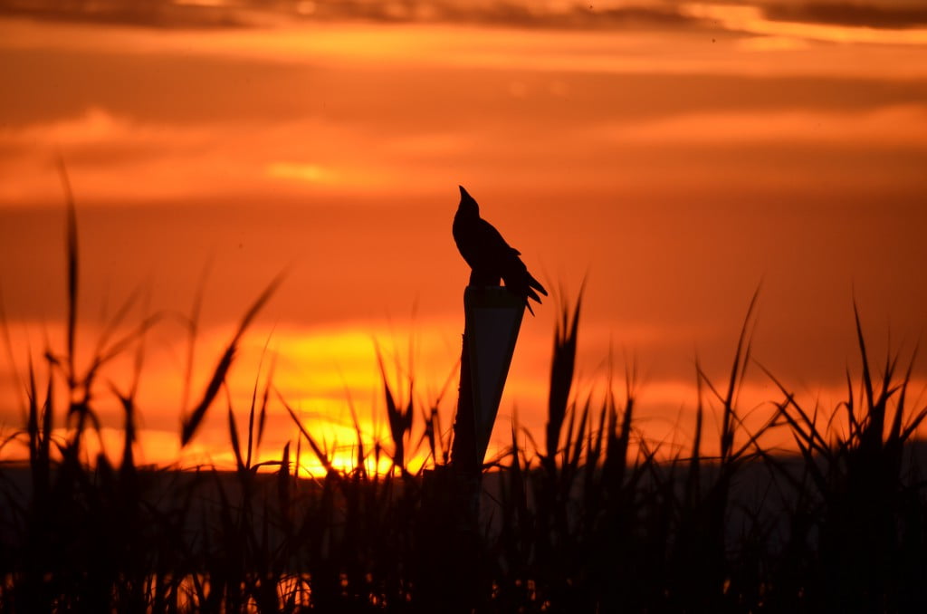 Sonnenuntergang Juni 2015